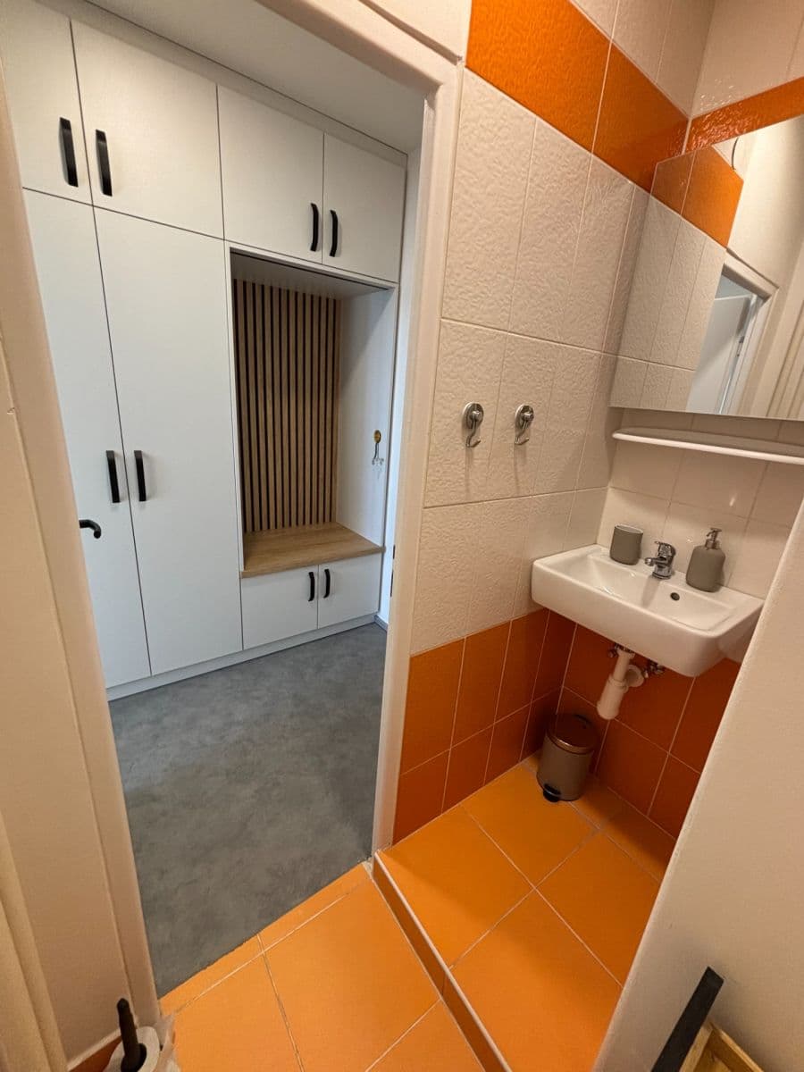 Prenájom bytu 1-izbový 24 m², Halasovo náměstí, Brno, Jihomoravský kraj Prenájom bytu 1-izbový 24 m², Halasovo náměstí, Brno, Jihomoravský kraj