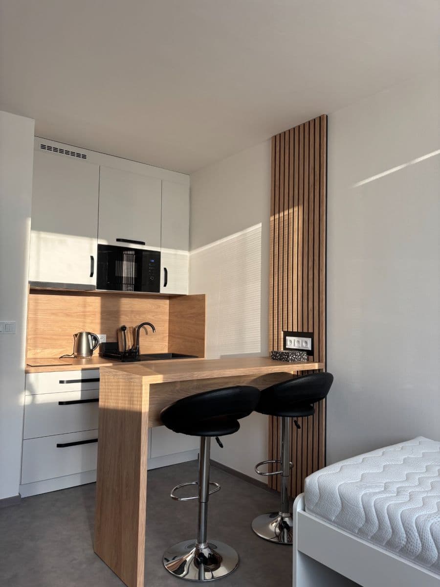 Prenájom bytu 1-izbový 24 m², Halasovo náměstí, Brno, Jihomoravský kraj Prenájom bytu 1-izbový 24 m², Halasovo náměstí, Brno, Jihomoravský kraj