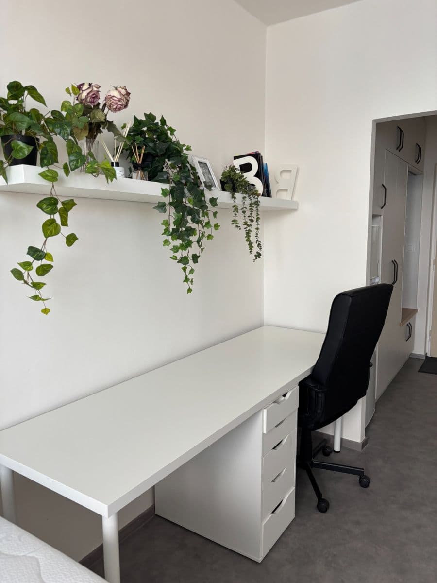 Prenájom bytu 1-izbový 24 m², Halasovo náměstí, Brno, Jihomoravský kraj Prenájom bytu 1-izbový 24 m², Halasovo náměstí, Brno, Jihomoravský kraj