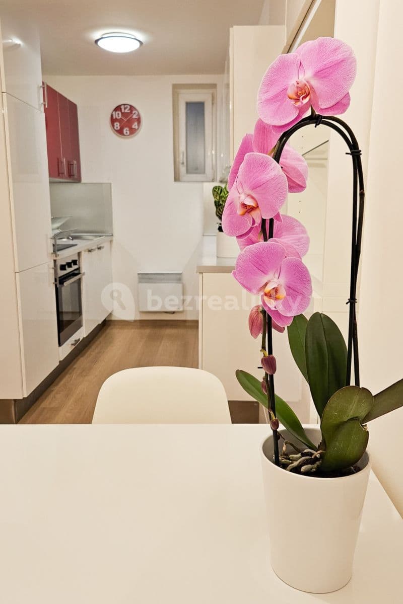 Prenájom bytu 2-izbový 65 m², Šimáčkova, Praha, Praha Prenájom bytu 2-izbový 65 m², Šimáčkova, Praha, Praha