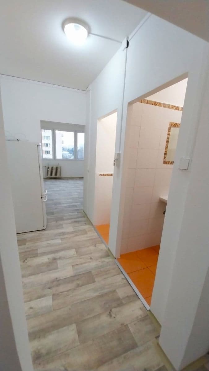 Prenájom bytu Garsoniéra 27 m², Nad lesním divadlem, Praha, Praha Prenájom bytu Garsoniéra 27 m², Nad lesním divadlem, Praha, Praha