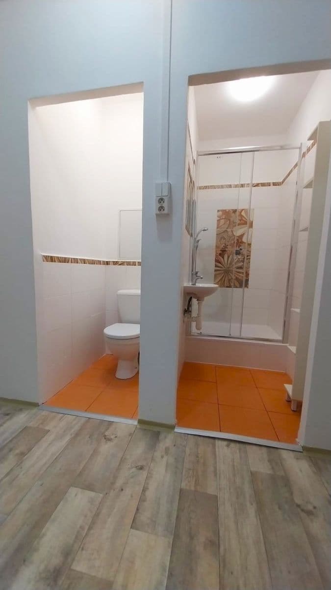 Prenájom bytu Garsoniéra 27 m², Nad lesním divadlem, Praha, Praha Prenájom bytu Garsoniéra 27 m², Nad lesním divadlem, Praha, Praha