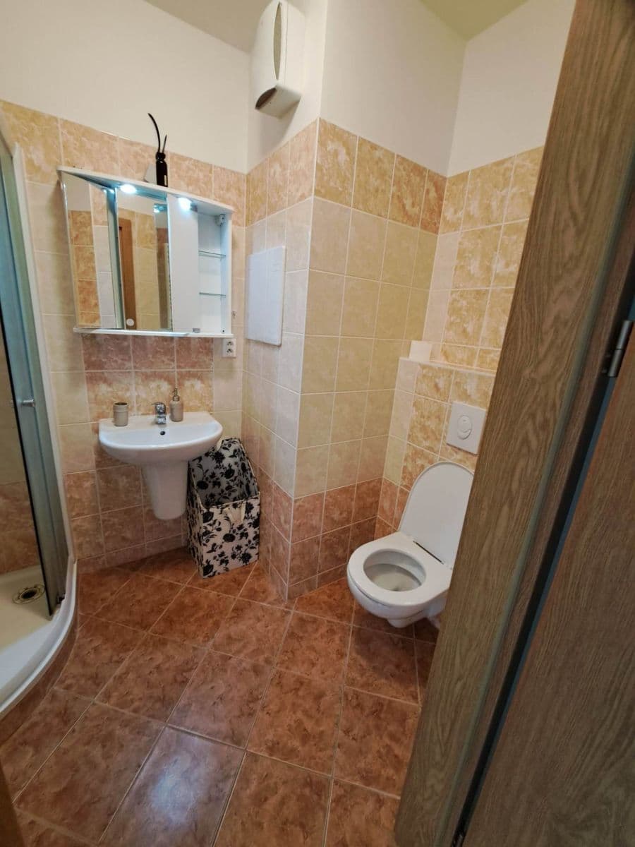 Prenájom bytu Garsoniéra 32 m², Hornoměcholupská, Praha, Praha Prenájom bytu Garsoniéra 32 m², Hornoměcholupská, Praha, Praha
