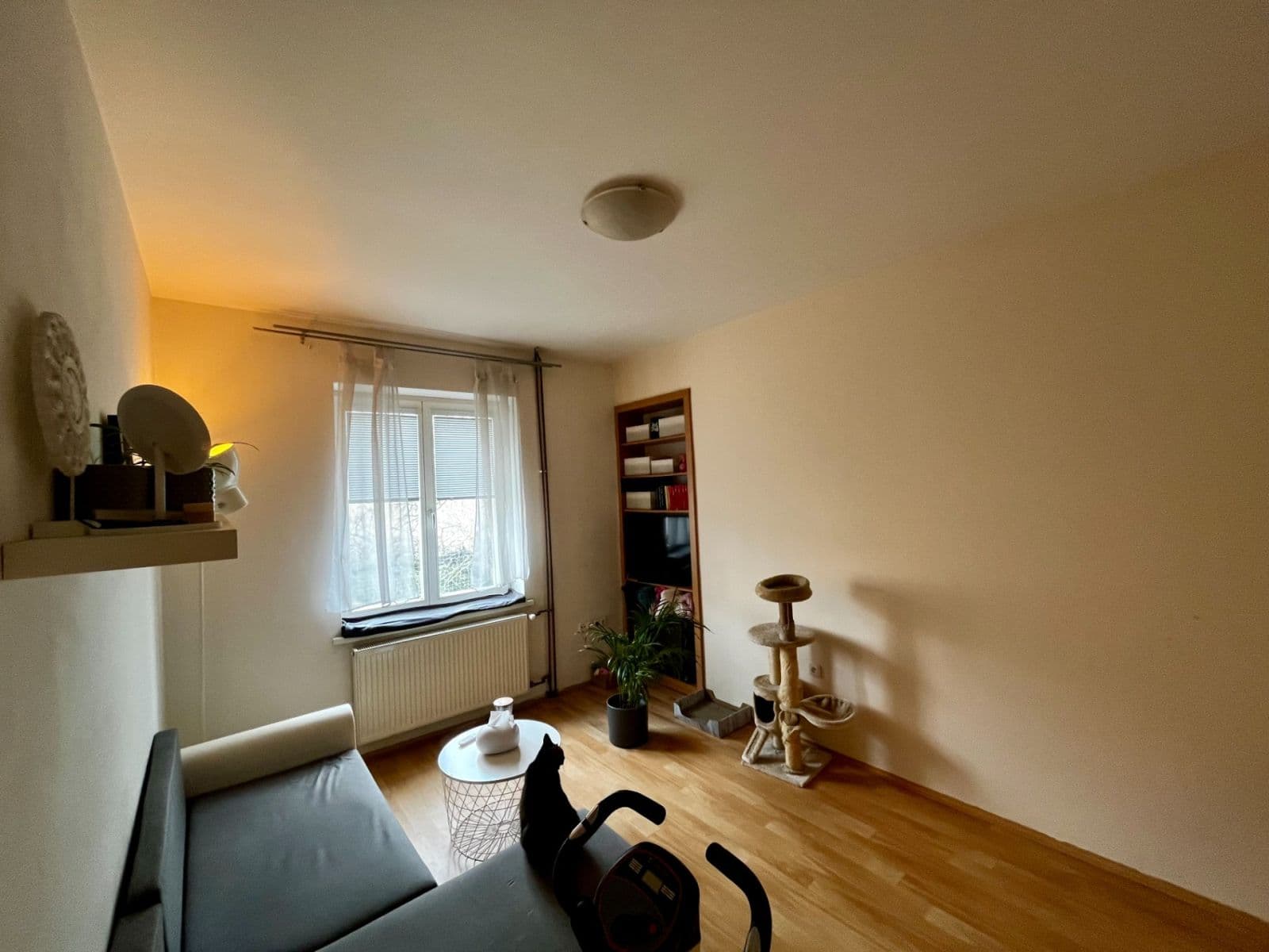 Prenájom bytu 1-izbový 22 m², Sakařova, Pardubice, Pardubický kraj Prenájom bytu 1-izbový 22 m², Sakařova, Pardubice, Pardubický kraj