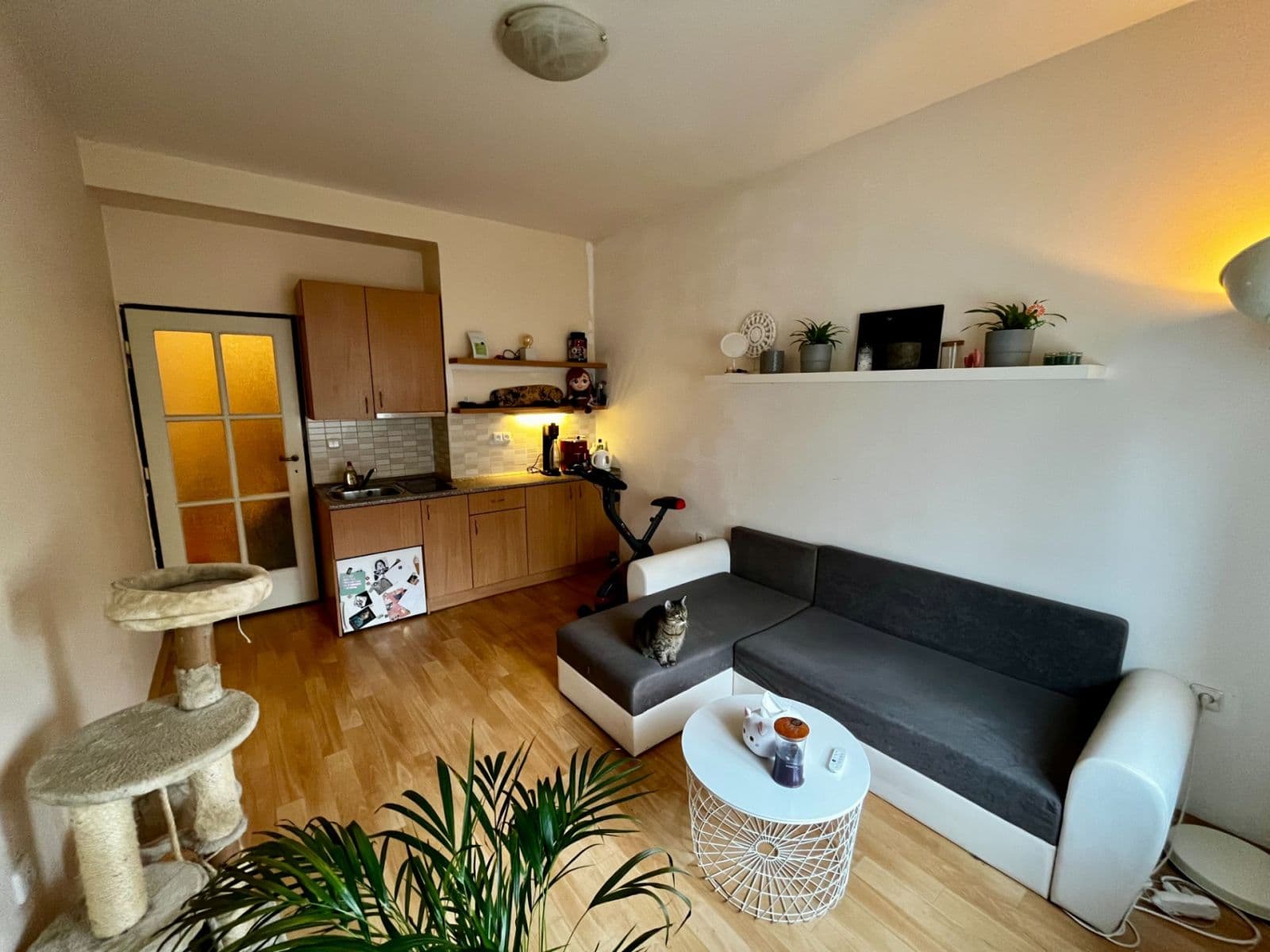 Prenájom bytu 1-izbový 22 m², Sakařova, Pardubice, Pardubický kraj Prenájom bytu 1-izbový 22 m², Sakařova, Pardubice, Pardubický kraj