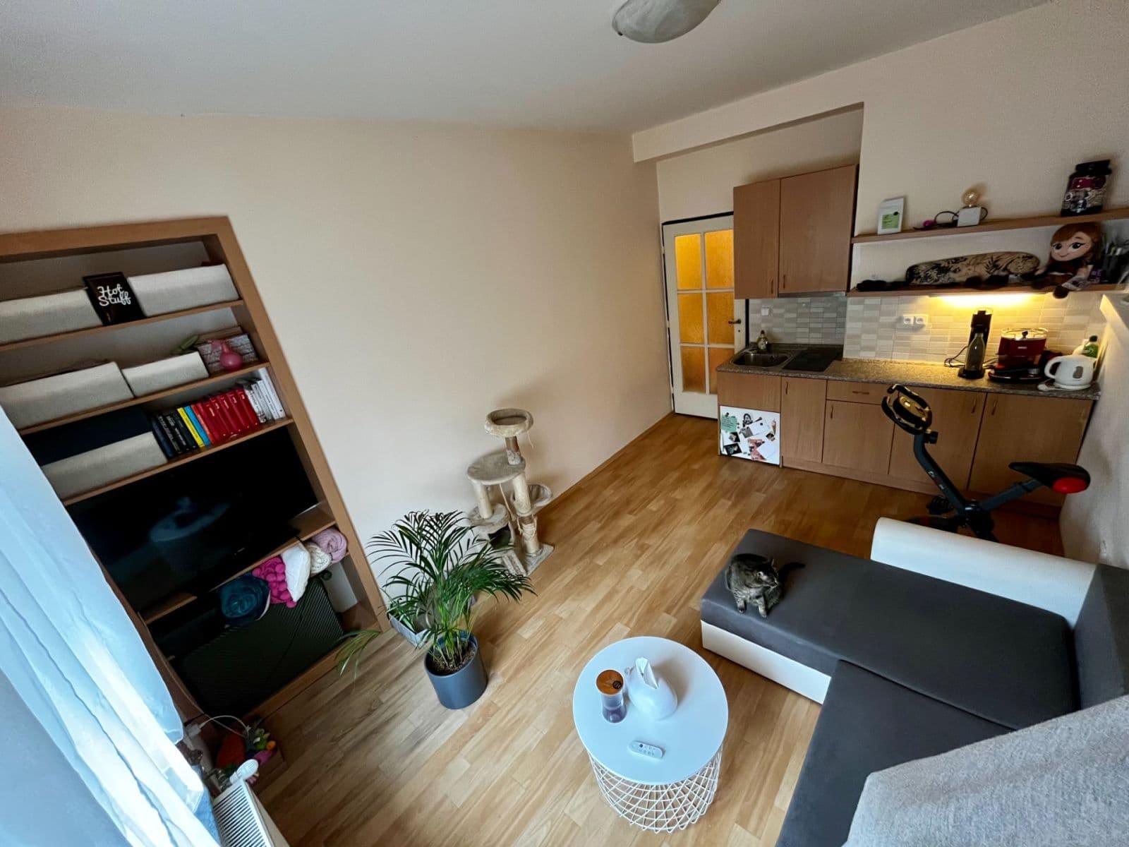 Prenájom bytu 1-izbový 22 m², Sakařova, Pardubice, Pardubický kraj Prenájom bytu 1-izbový 22 m², Sakařova, Pardubice, Pardubický kraj