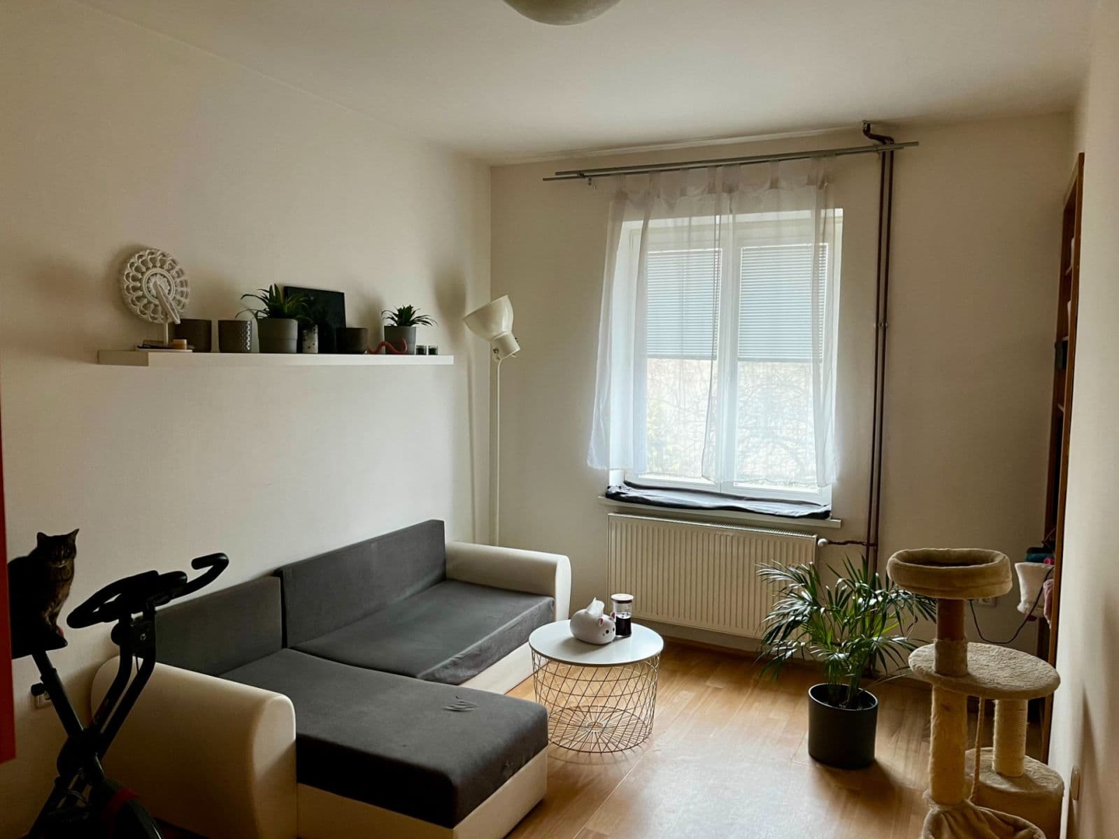 Prenájom bytu 1-izbový 22 m², Sakařova, Pardubice, Pardubický kraj Prenájom bytu 1-izbový 22 m², Sakařova, Pardubice, Pardubický kraj