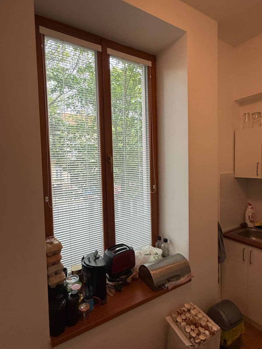 Prenájom bytu 1-izbový 38 m², Černopolní, Brno, Jihomoravský kraj Prenájom bytu 1-izbový 38 m², Černopolní, Brno, Jihomoravský kraj