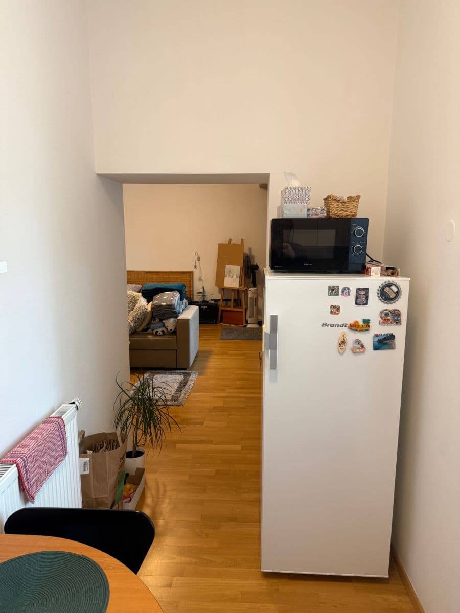 Prenájom bytu 1-izbový 38 m², Černopolní, Brno, Jihomoravský kraj Prenájom bytu 1-izbový 38 m², Černopolní, Brno, Jihomoravský kraj