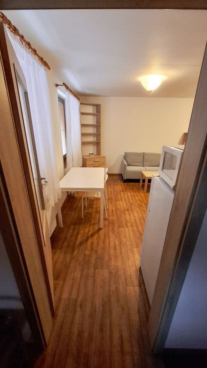 Prenájom bytu 1-izbový 42 m², Jednostranná, Praha, Praha Prenájom bytu 1-izbový 42 m², Jednostranná, Praha, Praha
