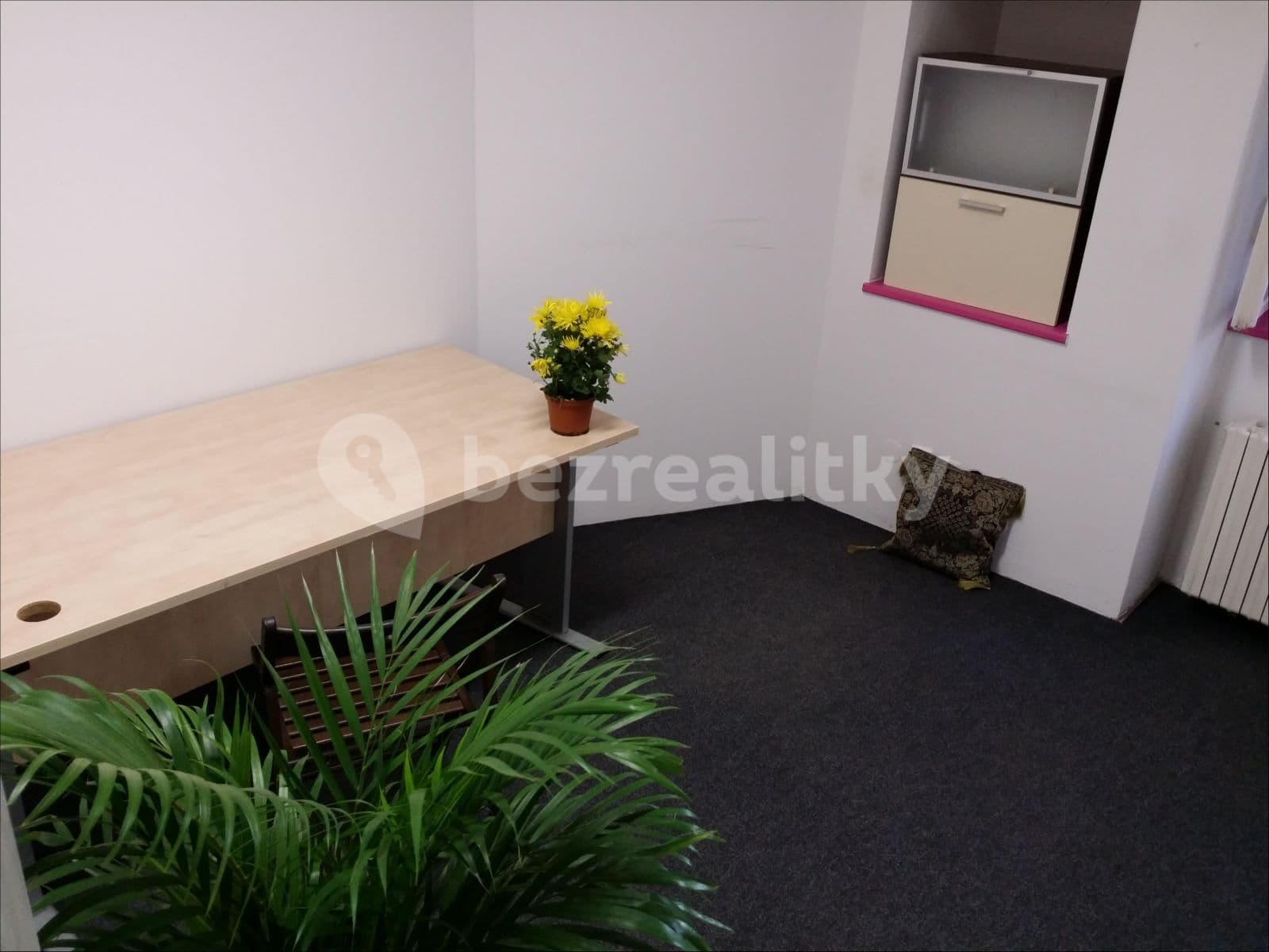 Prenájom nebytového priestoru 180 m², Žitomírská, Praha, Praha Prenájom nebytového priestoru 180 m², Žitomírská, Praha, Praha