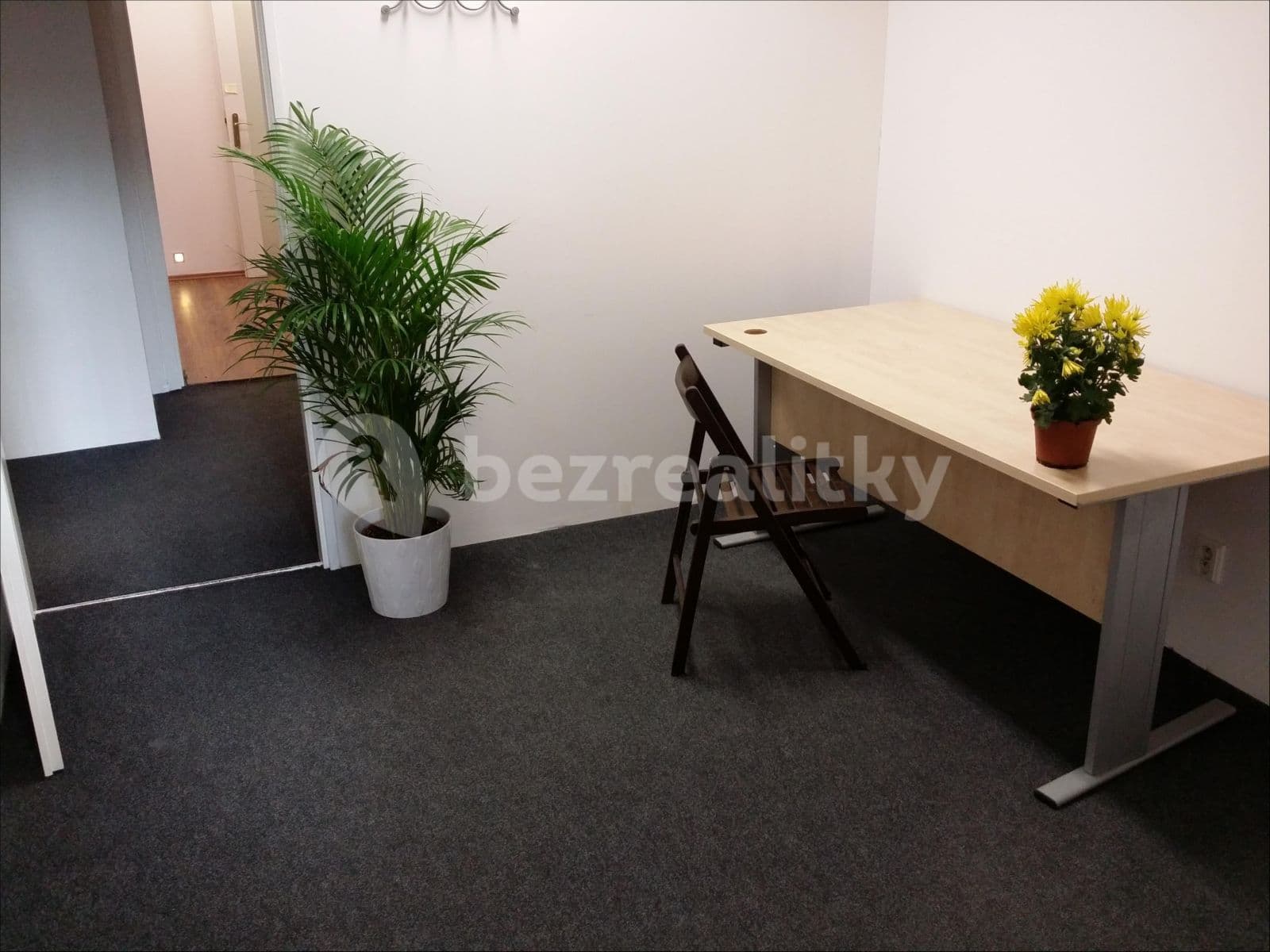 Prenájom nebytového priestoru 180 m², Žitomírská, Praha, Praha Prenájom nebytového priestoru 180 m², Žitomírská, Praha, Praha