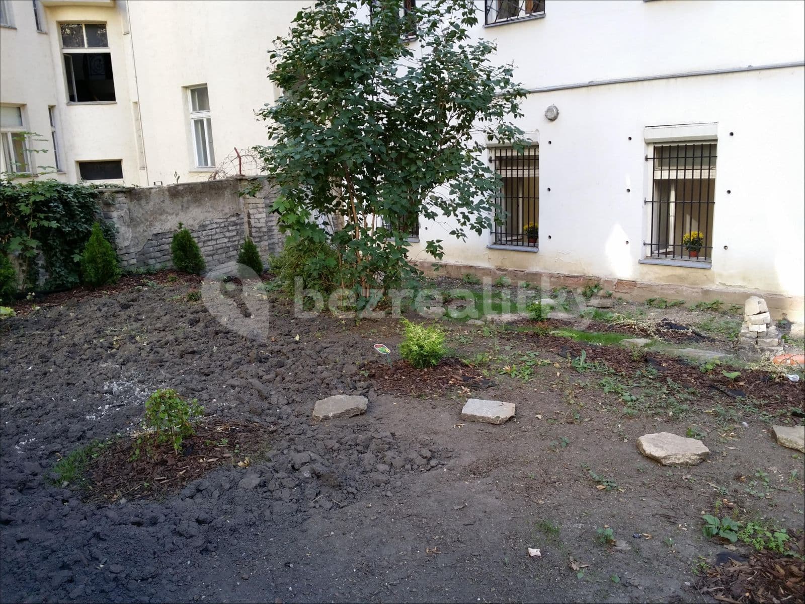 Prenájom nebytového priestoru 180 m², Žitomírská, Praha, Praha Prenájom nebytového priestoru 180 m², Žitomírská, Praha, Praha