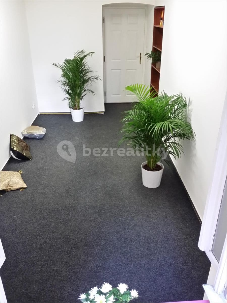 Prenájom nebytového priestoru 180 m², Žitomírská, Praha, Praha Prenájom nebytového priestoru 180 m², Žitomírská, Praha, Praha