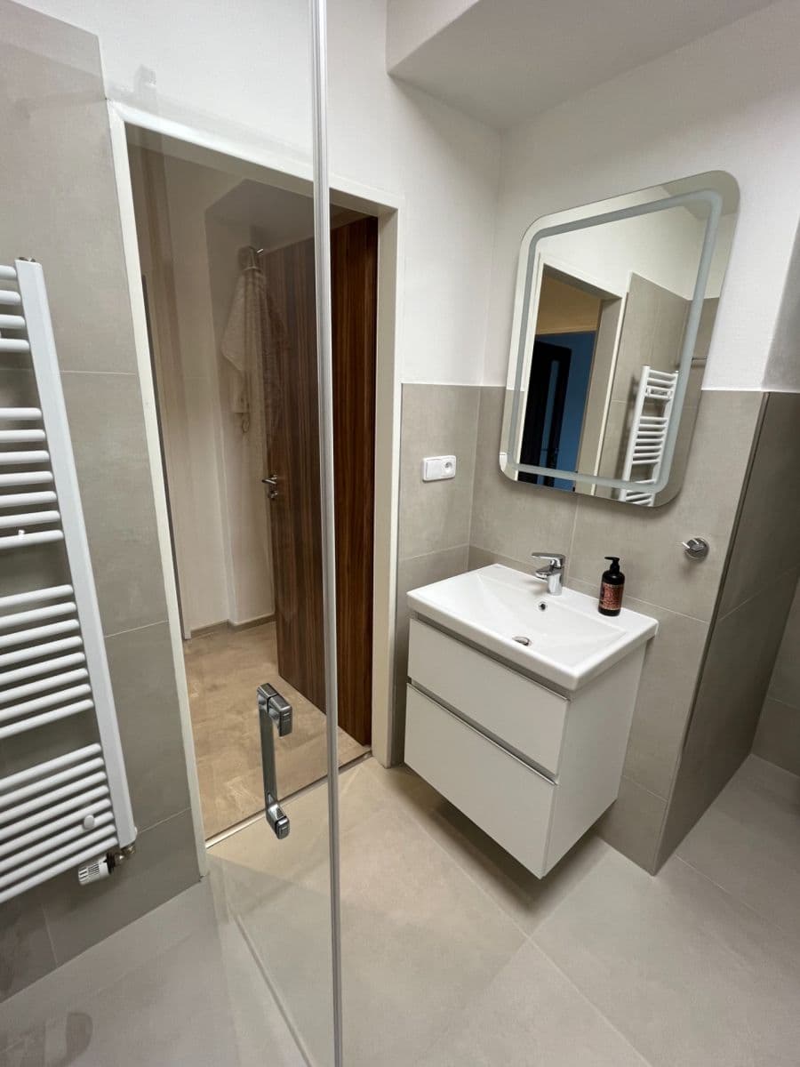 Prenájom bytu 1-izbový 46 m², Maškova, Brno, Jihomoravský kraj Prenájom bytu 1-izbový 46 m², Maškova, Brno, Jihomoravský kraj