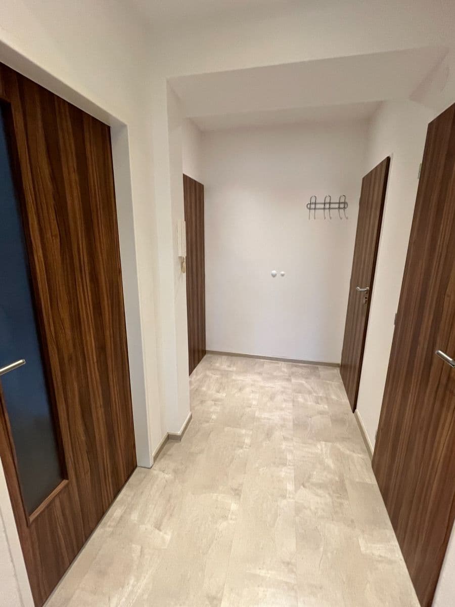 Prenájom bytu 1-izbový 46 m², Maškova, Brno, Jihomoravský kraj Prenájom bytu 1-izbový 46 m², Maškova, Brno, Jihomoravský kraj