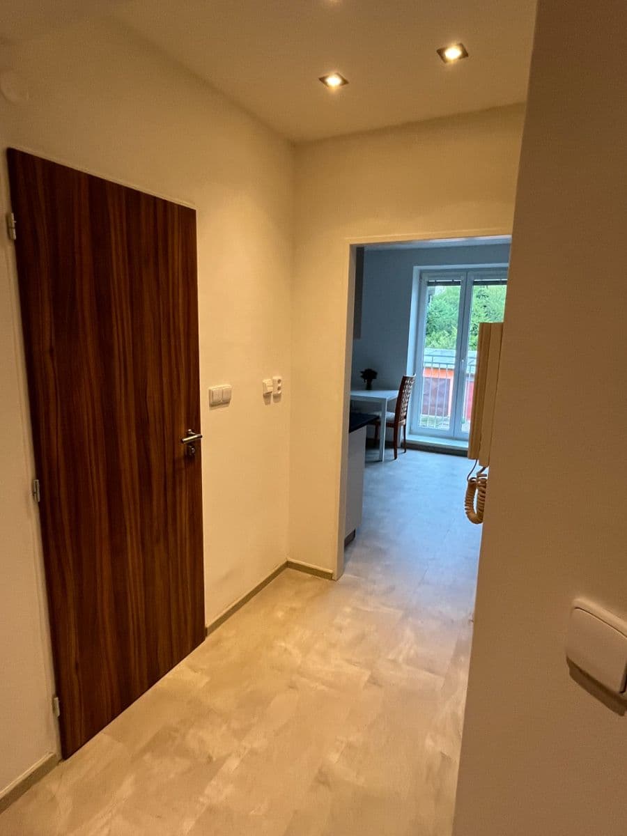Prenájom bytu 1-izbový 46 m², Maškova, Brno, Jihomoravský kraj Prenájom bytu 1-izbový 46 m², Maškova, Brno, Jihomoravský kraj