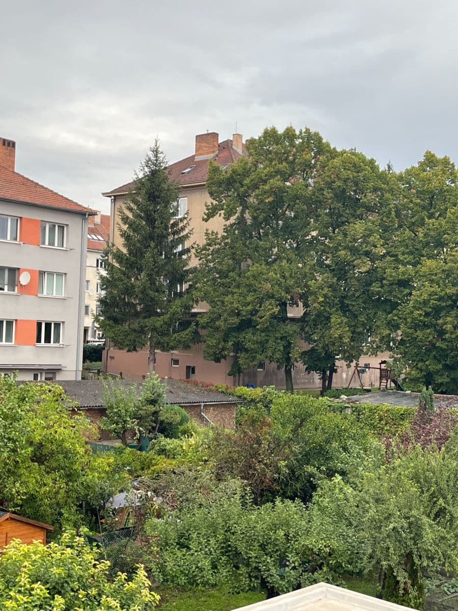 Prenájom bytu 1-izbový 46 m², Maškova, Brno, Jihomoravský kraj Prenájom bytu 1-izbový 46 m², Maškova, Brno, Jihomoravský kraj