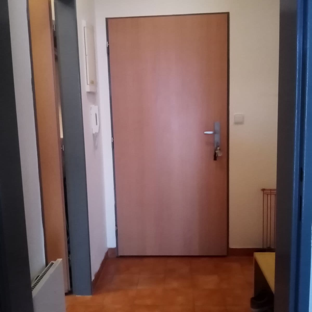 Prenájom bytu 1-izbový 31 m², Francouzská, Brno, Jihomoravský kraj Prenájom bytu 1-izbový 31 m², Francouzská, Brno, Jihomoravský kraj