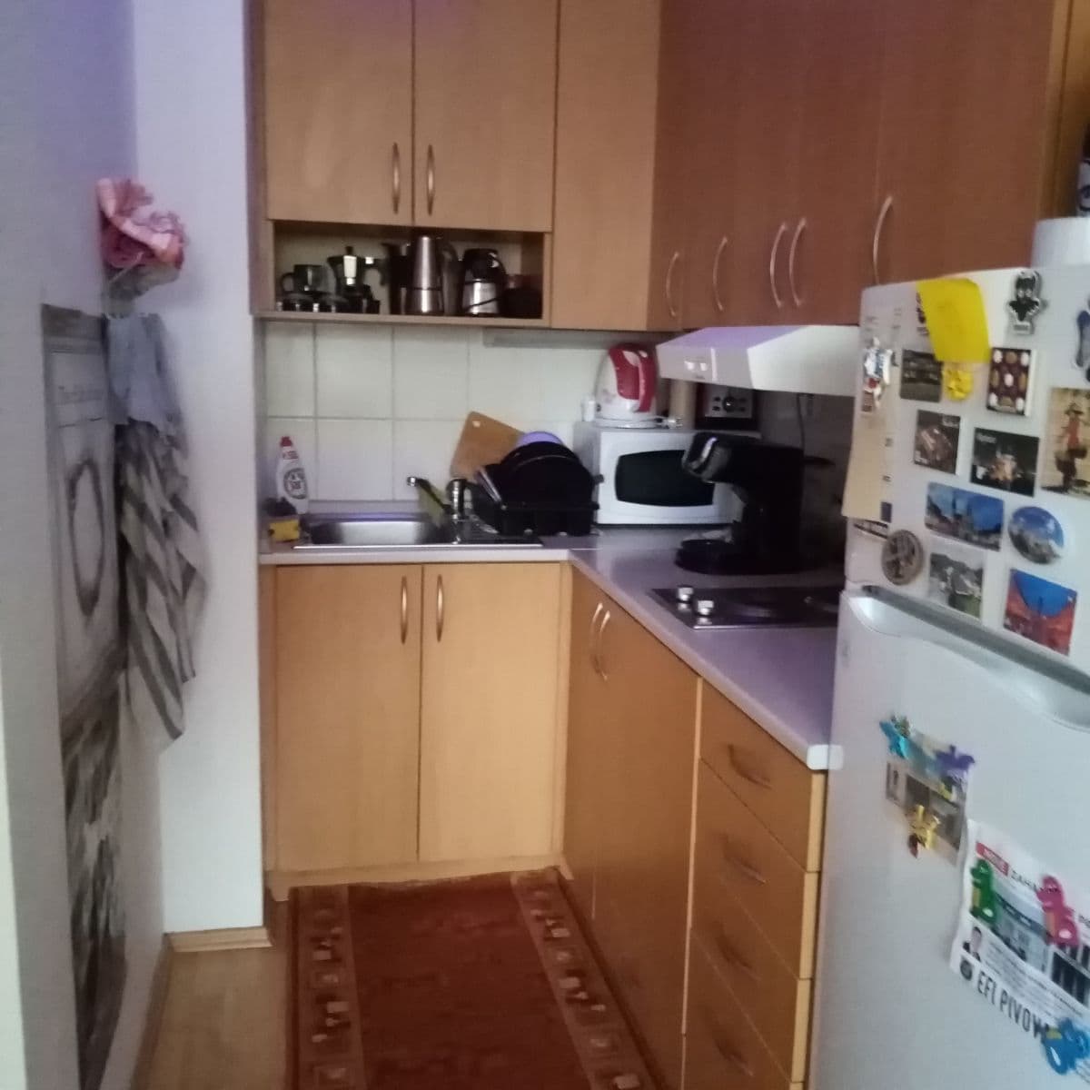 Prenájom bytu 1-izbový 31 m², Francouzská, Brno, Jihomoravský kraj Prenájom bytu 1-izbový 31 m², Francouzská, Brno, Jihomoravský kraj