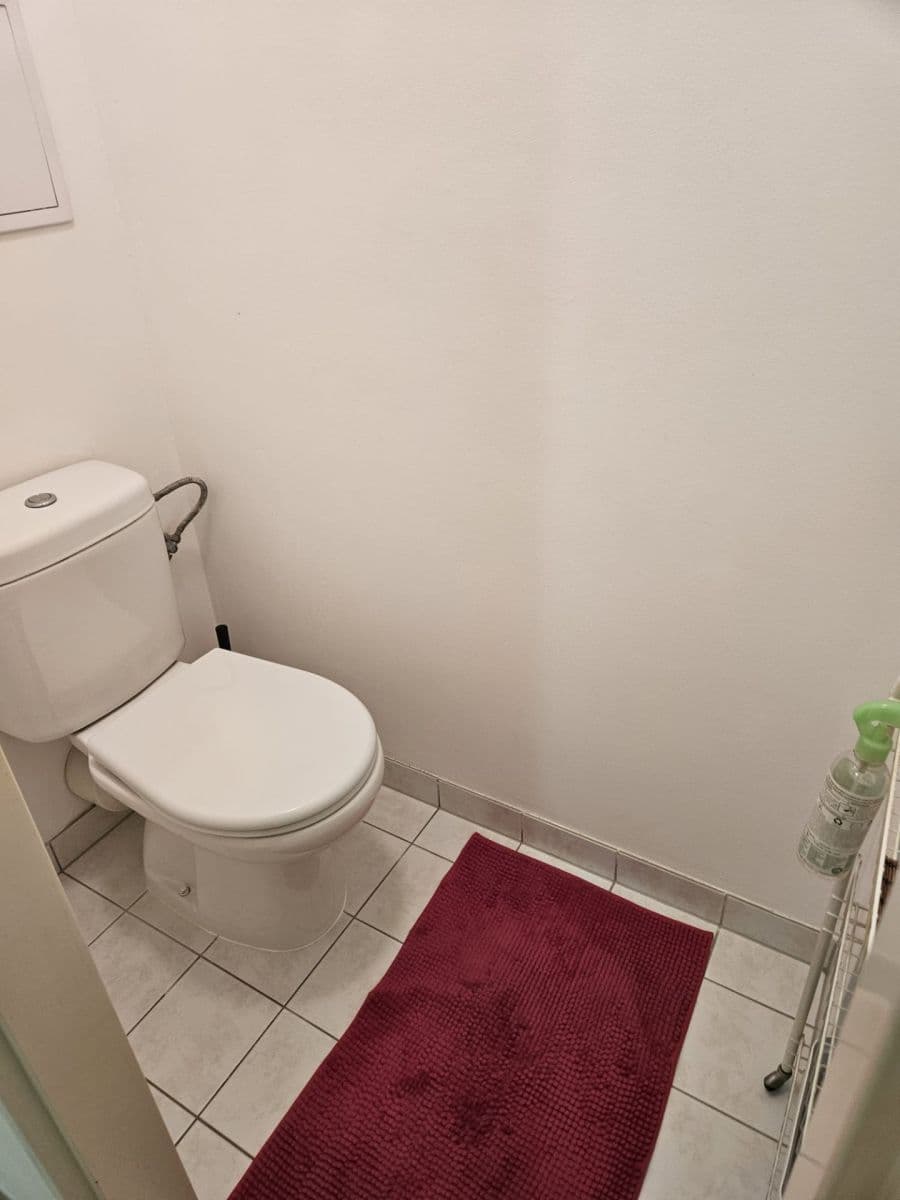 Prenájom bytu 2-izbový 54 m², Chotěšovská, Praha, Praha Prenájom bytu 2-izbový 54 m², Chotěšovská, Praha, Praha