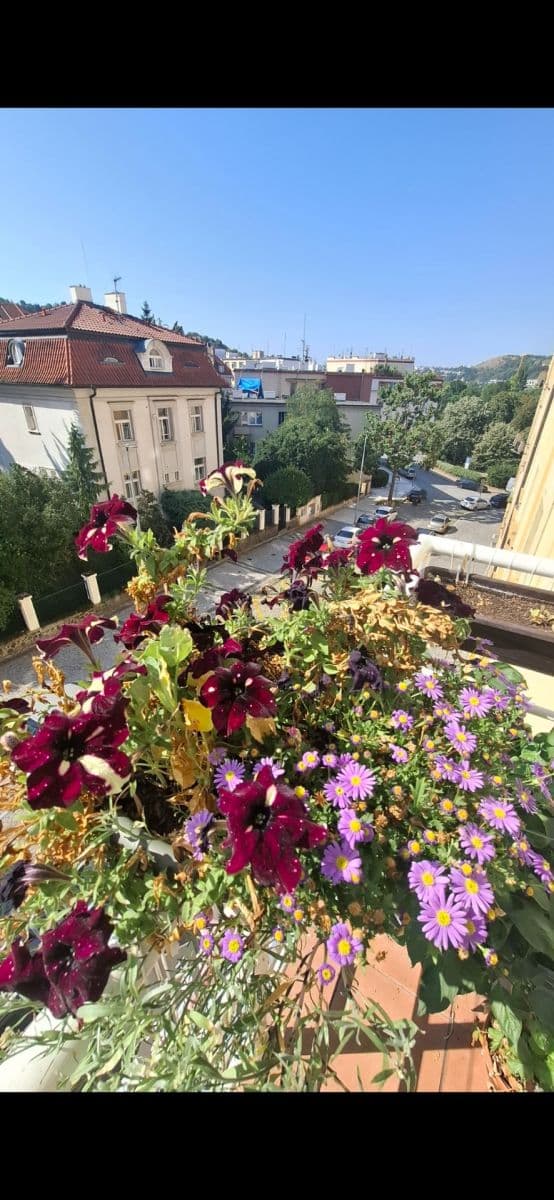 Prenájom bytu 2-izbový 44 m², Levá, Praha, Praha Prenájom bytu 2-izbový 44 m², Levá, Praha, Praha