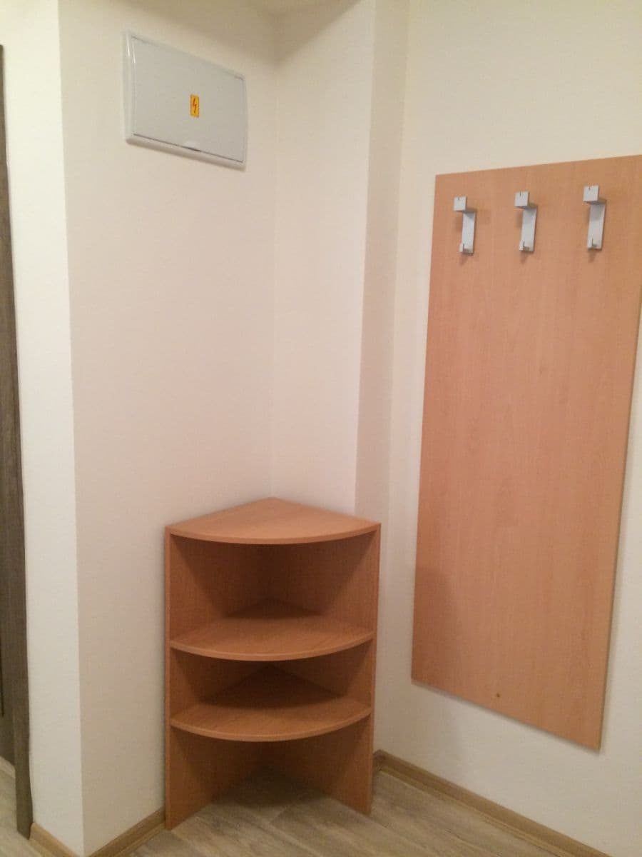 Prenájom bytu 1-izbový 41 m², Podlesí, Brno, Jihomoravský kraj Prenájom bytu 1-izbový 41 m², Podlesí, Brno, Jihomoravský kraj