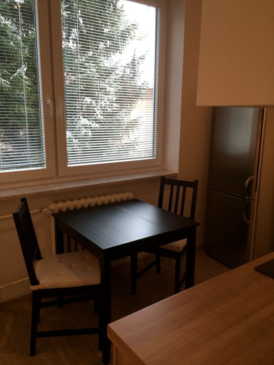 Prenájom bytu 1-izbový 41 m², Podlesí, Brno, Jihomoravský kraj Prenájom bytu 1-izbový 41 m², Podlesí, Brno, Jihomoravský kraj