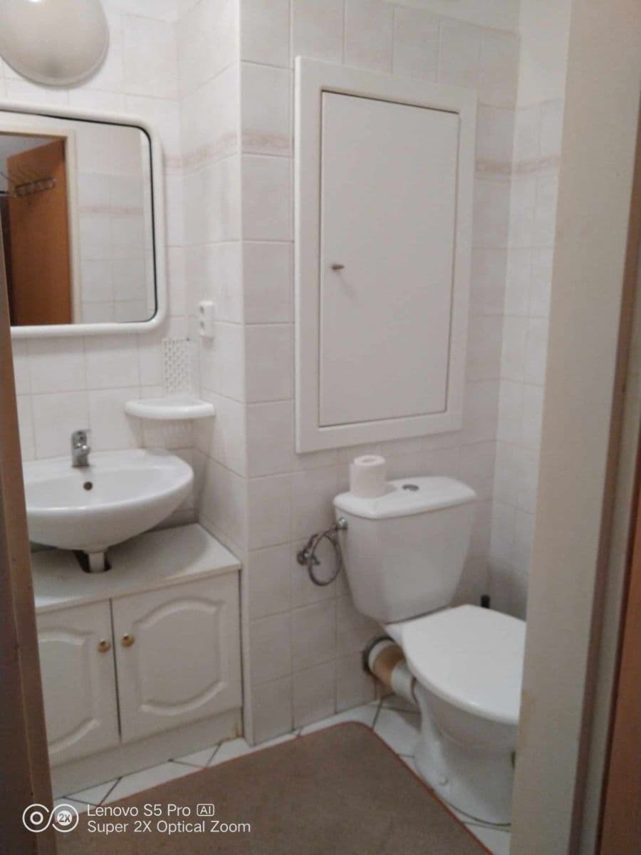 Prenájom bytu 1-izbový 30 m², Višňová, Milovice, Středočeský kraj Prenájom bytu 1-izbový 30 m², Višňová, Milovice, Středočeský kraj