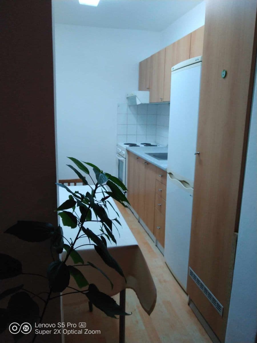 Prenájom bytu 1-izbový 30 m², Višňová, Milovice, Středočeský kraj Prenájom bytu 1-izbový 30 m², Višňová, Milovice, Středočeský kraj