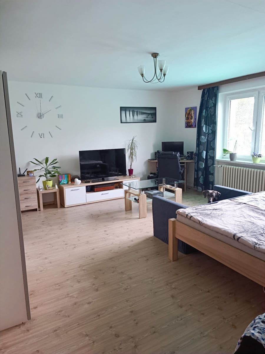 Prenájom bytu 1-izbový 45 m², Barákova, Plzeň, Plzeňský kraj Prenájom bytu 1-izbový 45 m², Barákova, Plzeň, Plzeňský kraj