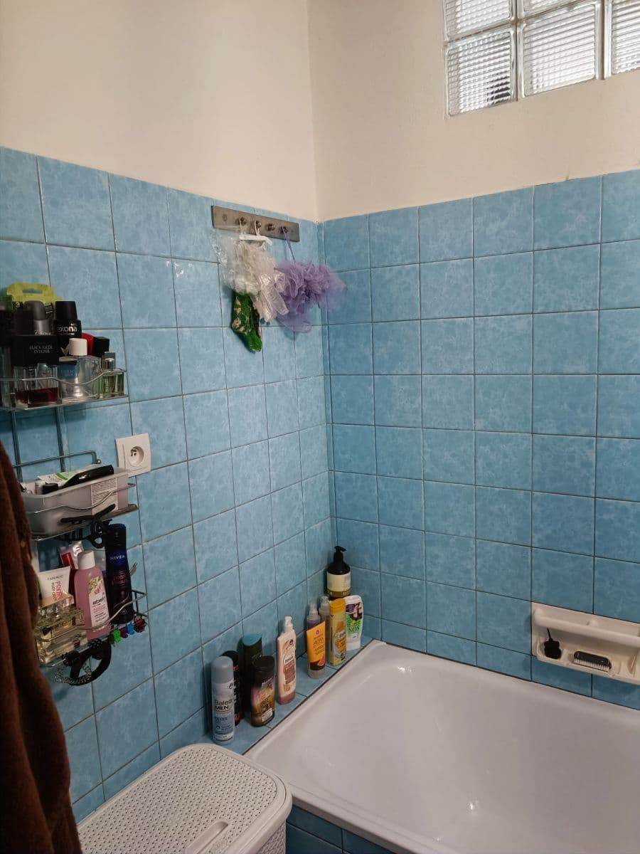 Prenájom bytu 1-izbový 45 m², Barákova, Plzeň, Plzeňský kraj Prenájom bytu 1-izbový 45 m², Barákova, Plzeň, Plzeňský kraj