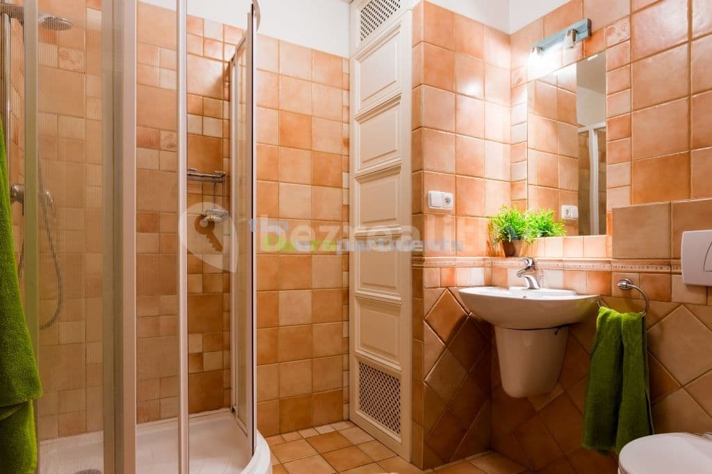 Prenájom bytu 5-izbový 240 m², Přemyslovská, Praha, Praha Prenájom bytu 5-izbový 240 m², Přemyslovská, Praha, Praha