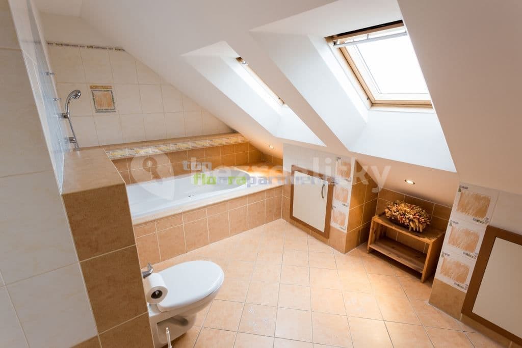 Prenájom bytu 5-izbový 240 m², Přemyslovská, Praha, Praha Prenájom bytu 5-izbový 240 m², Přemyslovská, Praha, Praha