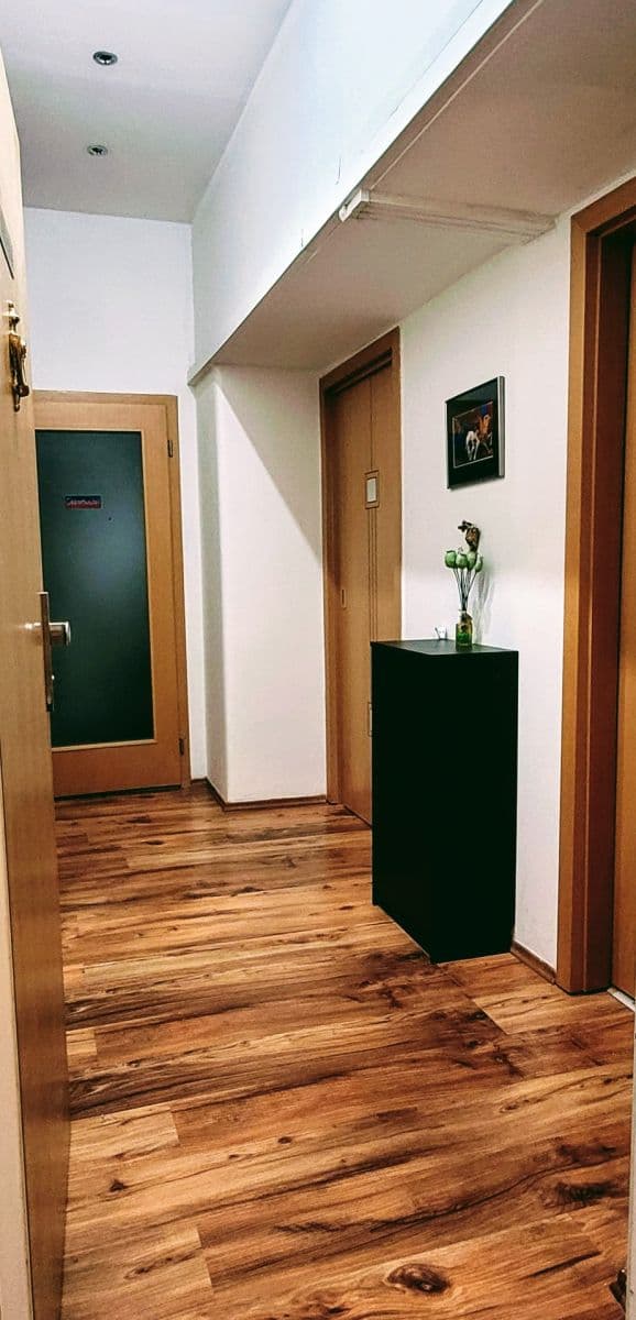 Prenájom bytu 2-izbový 54 m², Argentinská, Praha, Praha Prenájom bytu 2-izbový 54 m², Argentinská, Praha, Praha