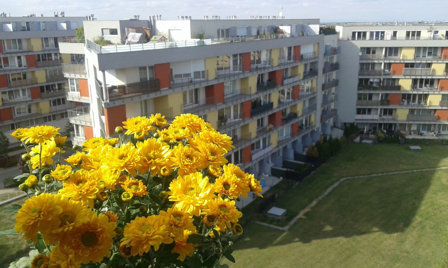 Prenájom bytu 1-izbový 32 m², Míšovická, Praha, Praha Prenájom bytu 1-izbový 32 m², Míšovická, Praha, Praha