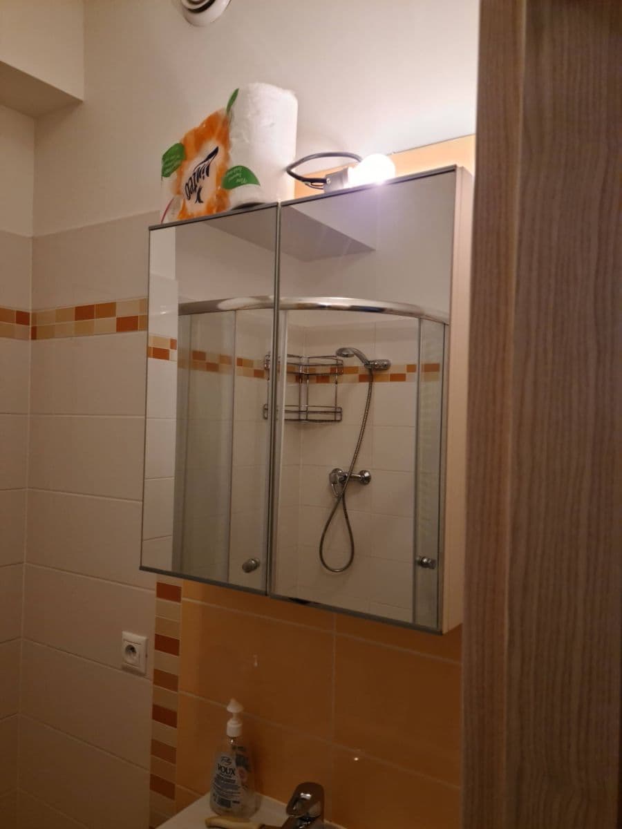 Prenájom bytu 1-izbový 33 m², Freyova, Praha, Praha Prenájom bytu 1-izbový 33 m², Freyova, Praha, Praha