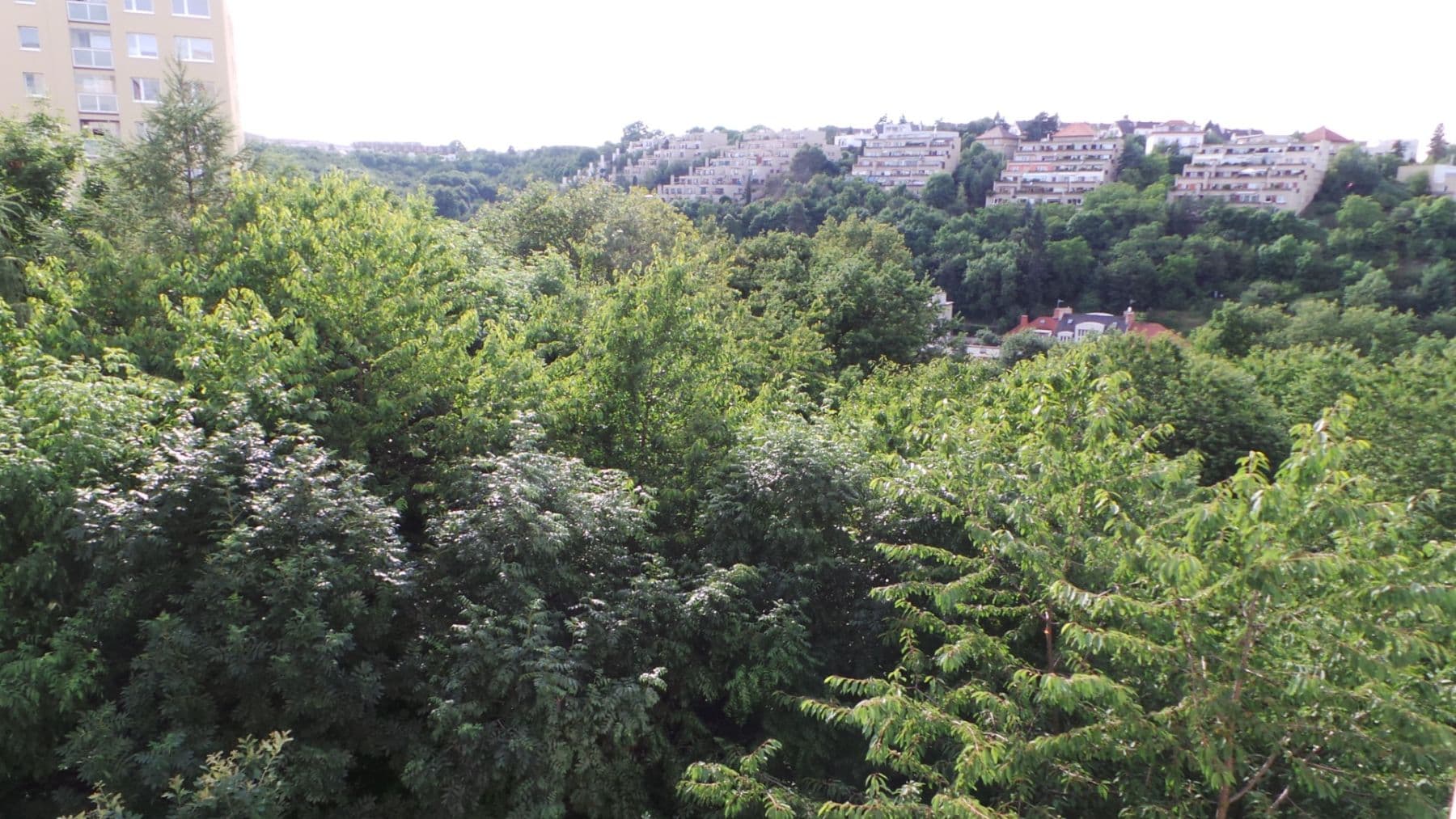 Prenájom bytu 2-izbový 51 m², Černochova, Praha, Praha Prenájom bytu 2-izbový 51 m², Černochova, Praha, Praha