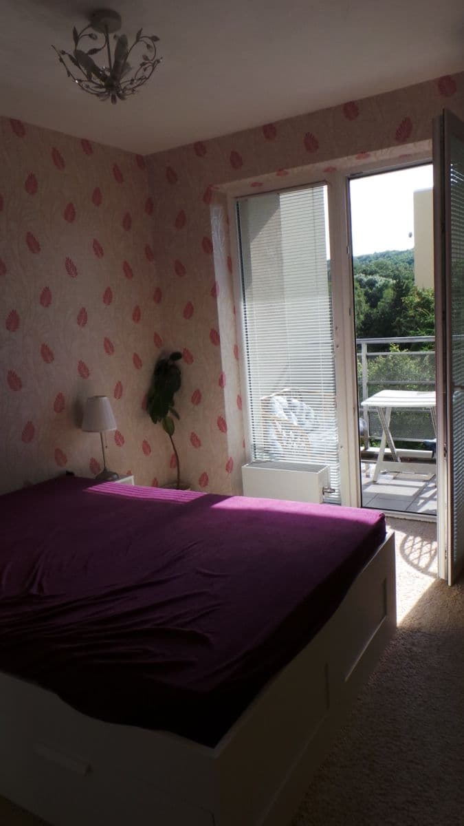 Prenájom bytu 2-izbový 51 m², Černochova, Praha, Praha Prenájom bytu 2-izbový 51 m², Černochova, Praha, Praha