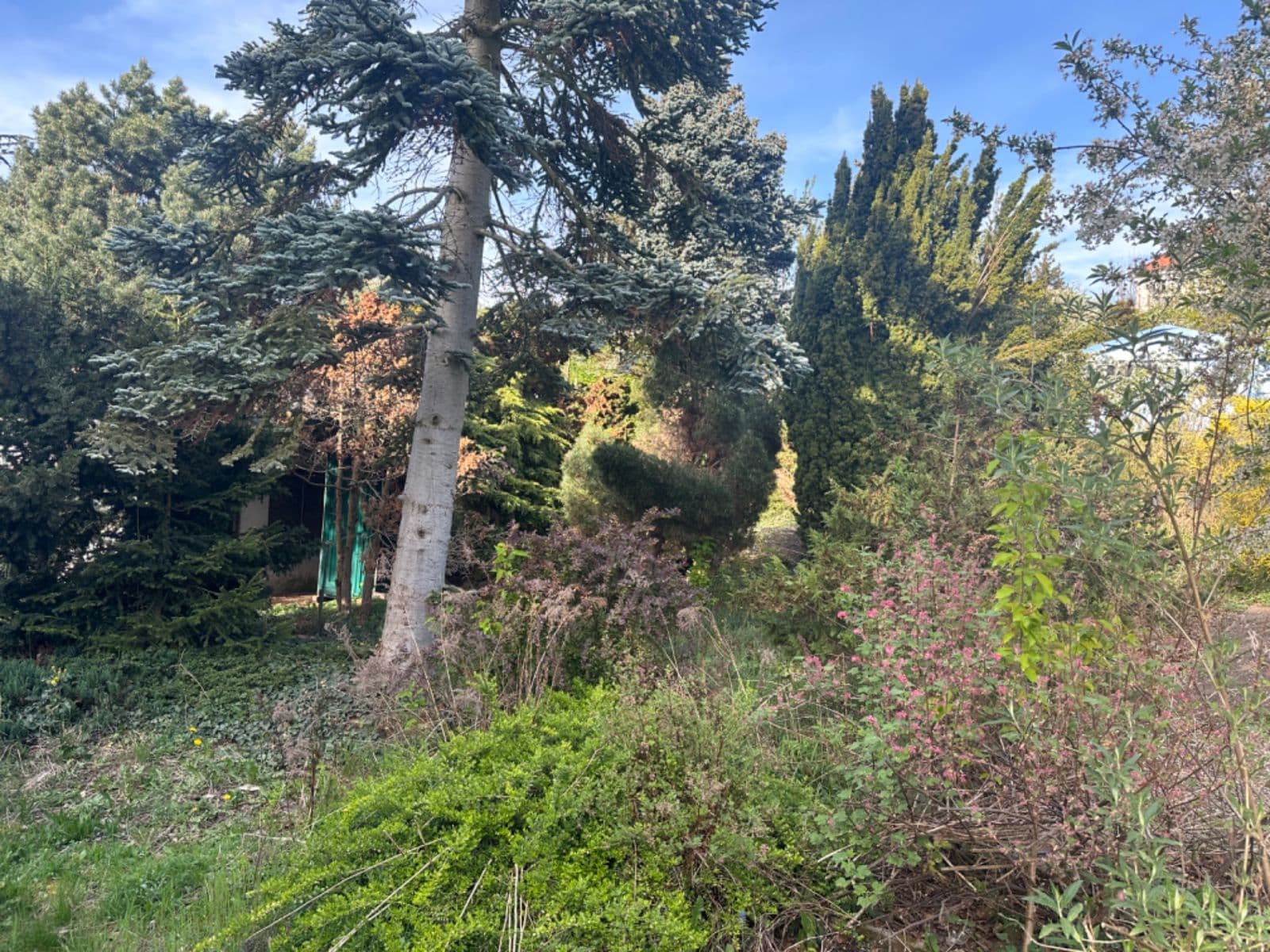 Prenájom rekreačného objektu 400 m², pozemek 500 m², Zlatnice, Praha, Praha Prenájom rekreačného objektu 400 m², pozemek 500 m², Zlatnice, Praha, Praha