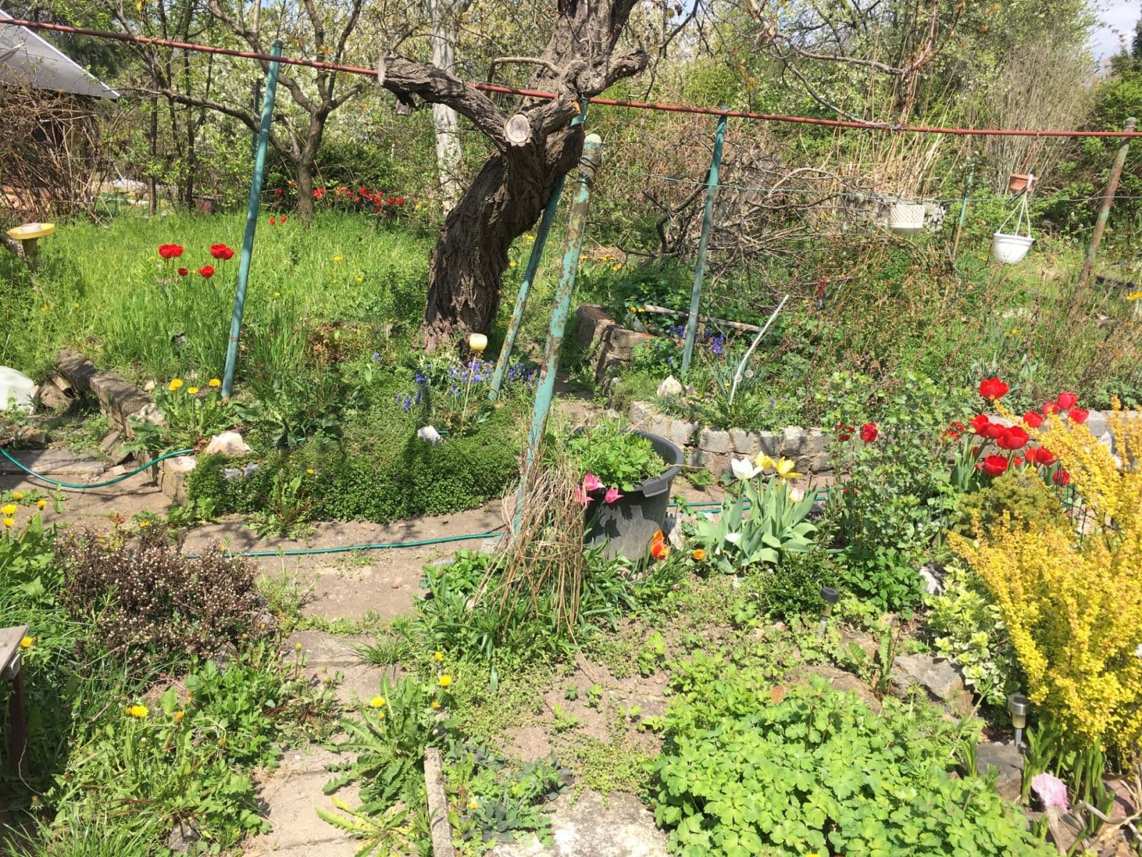 Prenájom rekreačného objektu 400 m², pozemek 500 m², Zlatnice, Praha, Praha Prenájom rekreačného objektu 400 m², pozemek 500 m², Zlatnice, Praha, Praha