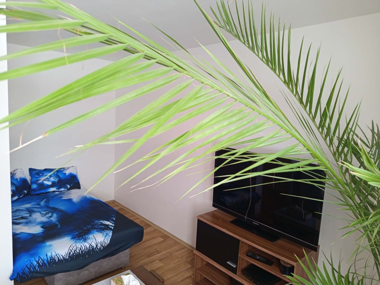 Prenájom bytu Garsoniéra 30 m², Bystřice, Středočeský kraj Prenájom bytu Garsoniéra 30 m², Bystřice, Středočeský kraj