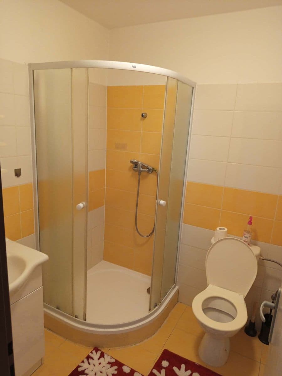 Prenájom bytu Garsoniéra 30 m², Bystřice, Středočeský kraj Prenájom bytu Garsoniéra 30 m², Bystřice, Středočeský kraj