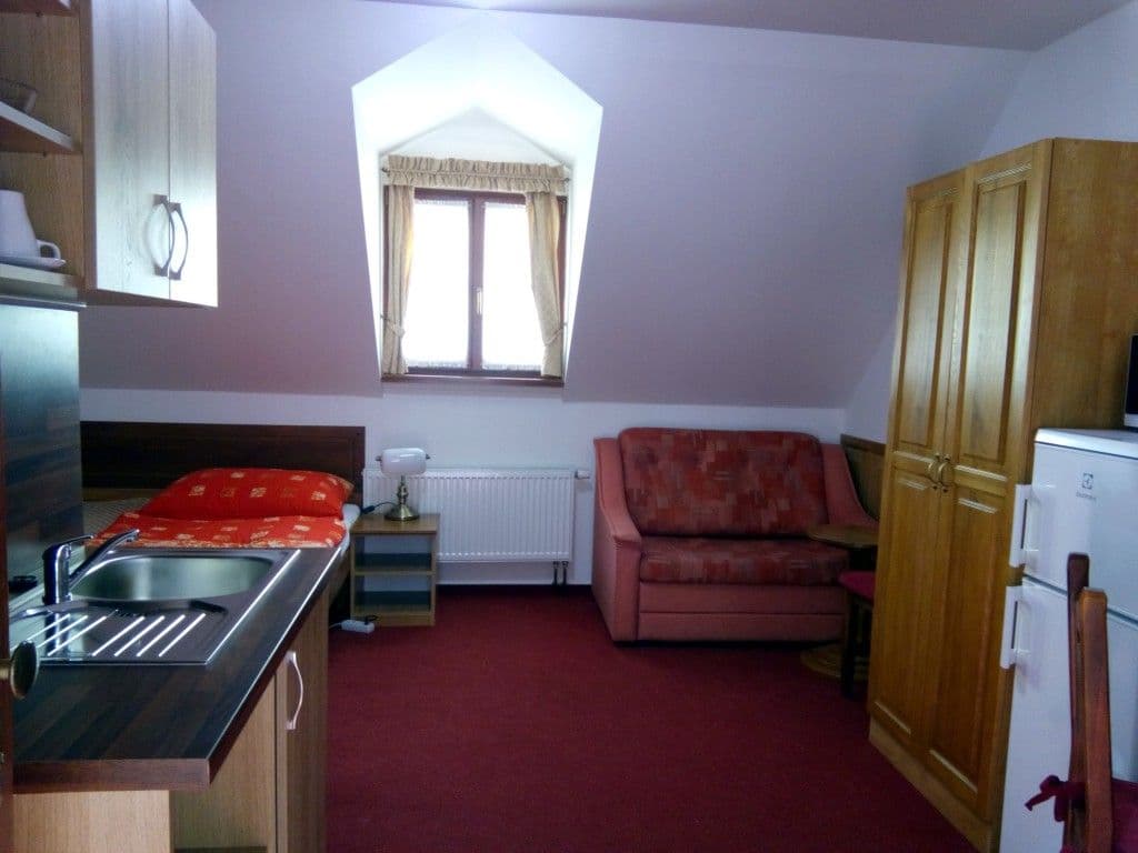 Prenájom bytu 1-izbový 25 m², Na Vinohradu, Praha, Praha Prenájom bytu 1-izbový 25 m², Na Vinohradu, Praha, Praha
