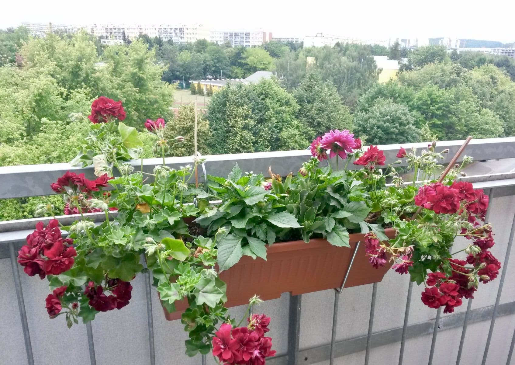 Prenájom bytu 2-izbový 53 m², Zlonická, Praha, Praha Prenájom bytu 2-izbový 53 m², Zlonická, Praha, Praha
