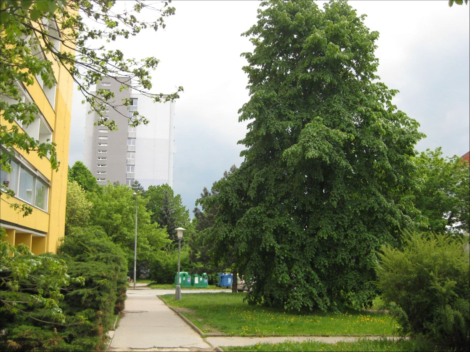 Prenájom bytu 1-izbový 27 m², Voroněžská, Brno, Jihomoravský kraj Prenájom bytu 1-izbový 27 m², Voroněžská, Brno, Jihomoravský kraj