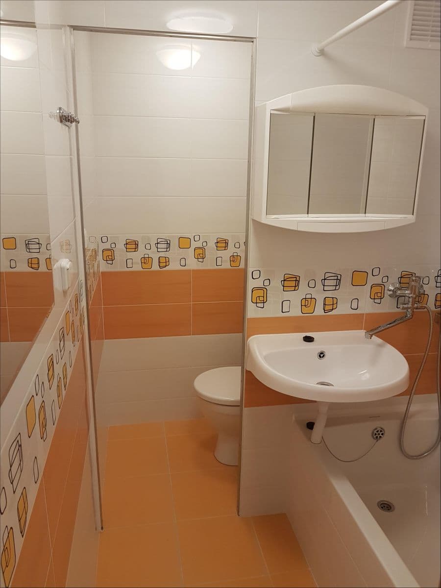 Prenájom bytu 1-izbový 27 m², Voroněžská, Brno, Jihomoravský kraj Prenájom bytu 1-izbový 27 m², Voroněžská, Brno, Jihomoravský kraj