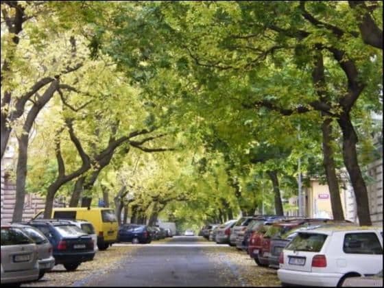 Prenájom bytu 2-izbový 48 m², Lužická, Praha, Praha Prenájom bytu 2-izbový 48 m², Lužická, Praha, Praha