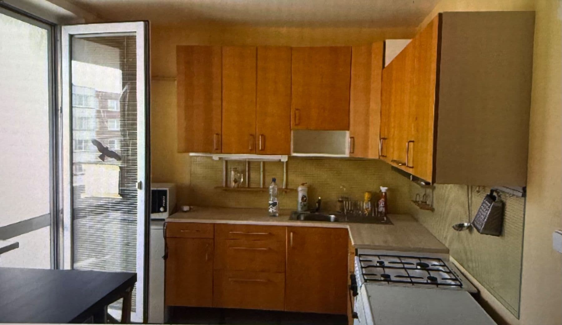 Prenájom bytu 1-izbový 45 m², Rerychova, Brno, Jihomoravský kraj Prenájom bytu 1-izbový 45 m², Rerychova, Brno, Jihomoravský kraj