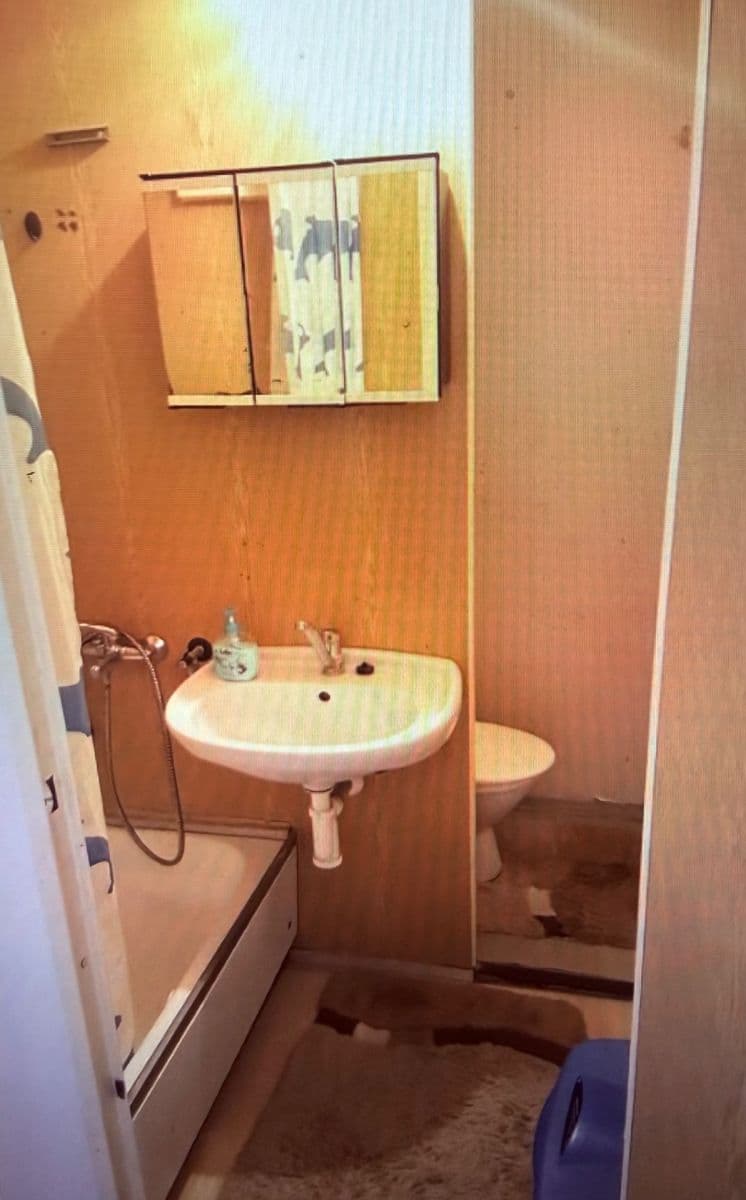 Prenájom bytu 1-izbový 45 m², Rerychova, Brno, Jihomoravský kraj Prenájom bytu 1-izbový 45 m², Rerychova, Brno, Jihomoravský kraj